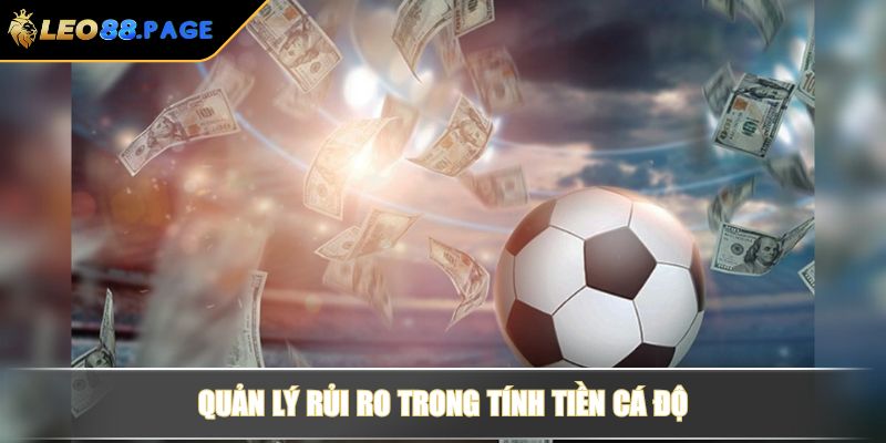 Quản lý rủi ro trong tính tiền cá độ