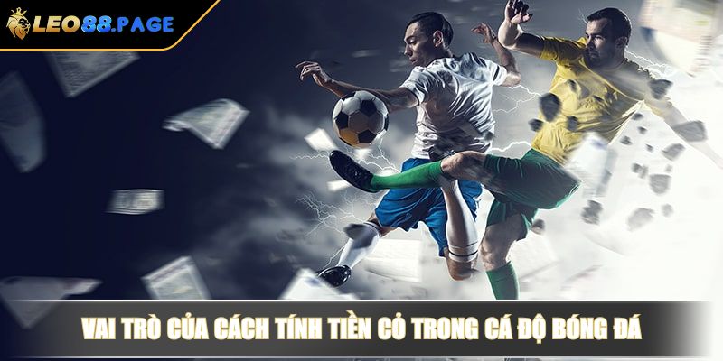 Vai trò của cách tính tiền cỏ trong cá độ bóng đá