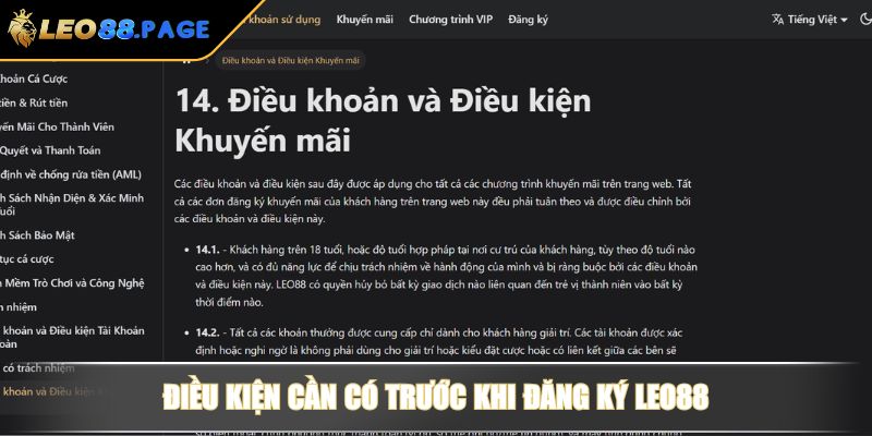 Điều kiện cần có trước khi đăng ký LEO88