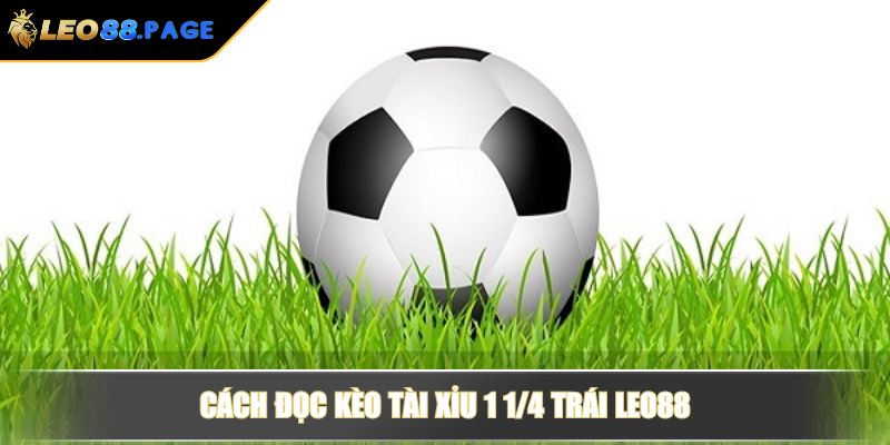 Cách đọc kèo tài xỉu 1 1/4 trái LEO88